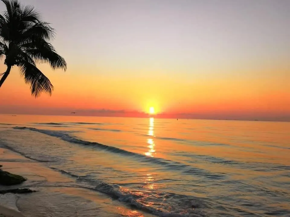 Lägenhet Suite Zama Apartamentos Playa del Carmen